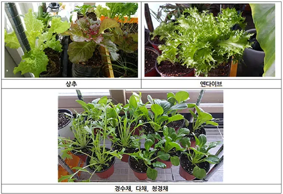 배수 좋은 화분 흙