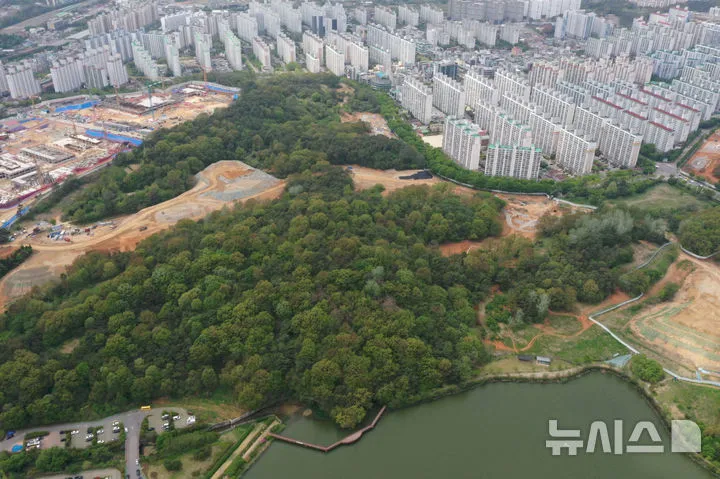 경기광주 중앙공원 산책 코스와 주차 팁 5 공원 진입 도로와 주차 주변