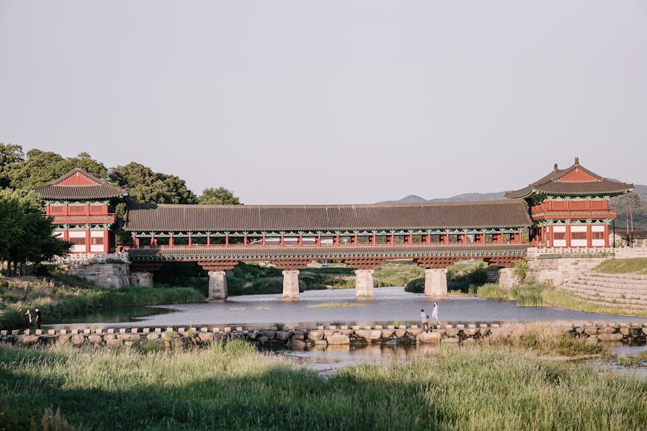 경주 가볼만한곳 현지인 추천 코스와 주의사항 7 경주 황리단길 거리와 카페 풍경