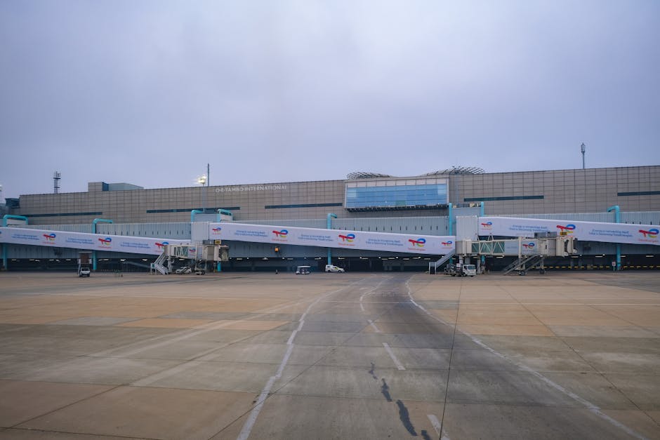 면세점 화장품 진열대와 브랜드 구성
