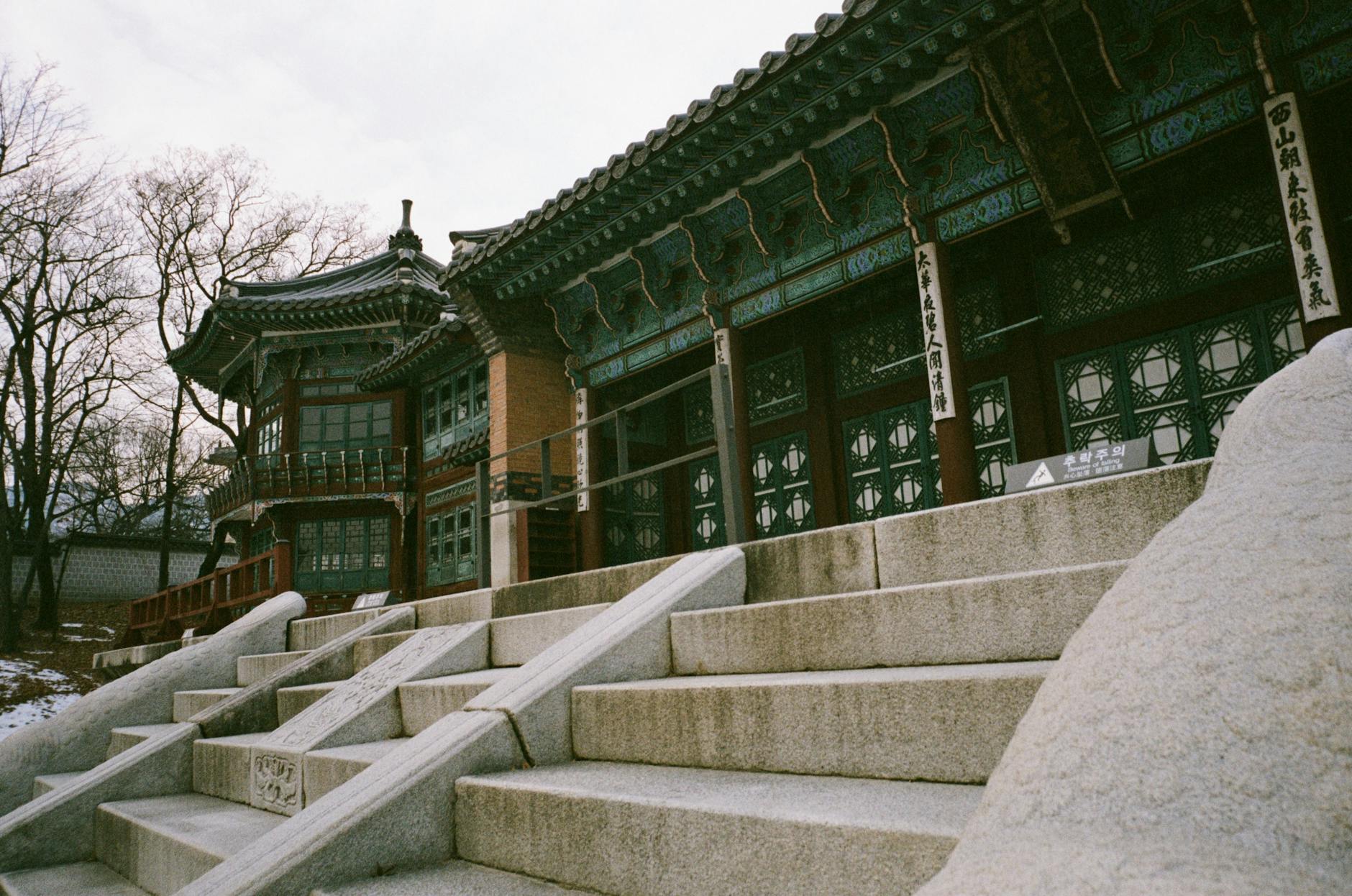 영크크 뜻과 검색되는 이유는 무엇일까 3