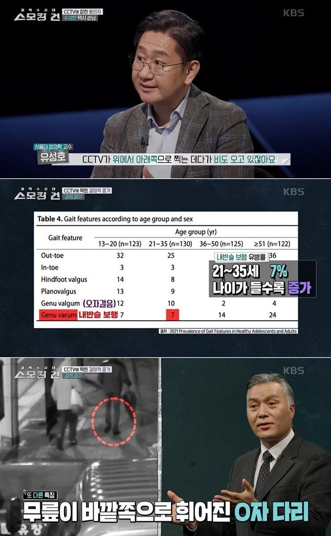 스모킹건 뜻과 검색하는 이유는 무엇일까 7