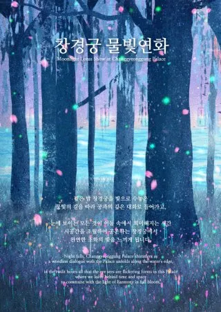 궁 야간 산책로와 관람 준비물