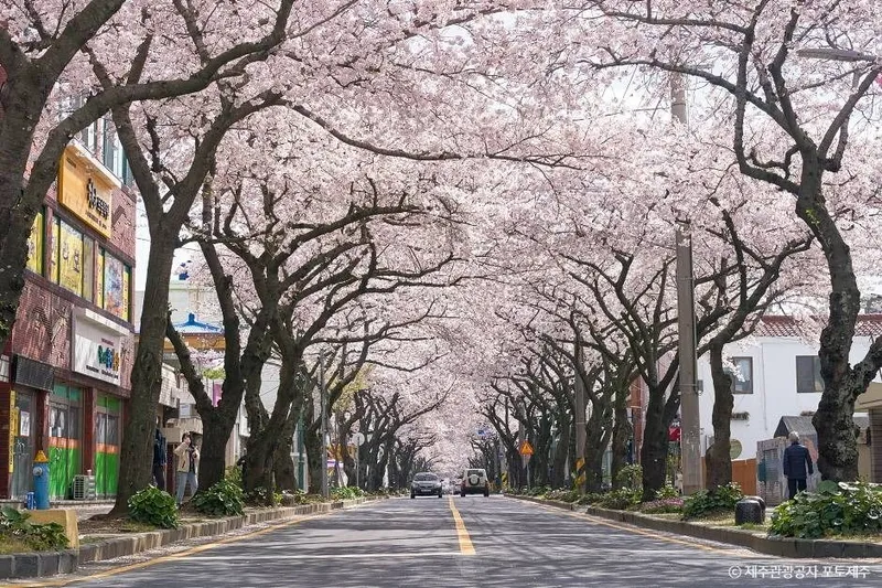 파주 가볼만한곳 2026년 주말코스 5곳 정리 3
