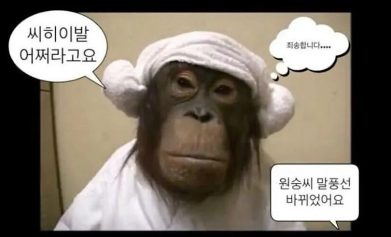 휴대폰 화면을 함께 보는 사람들