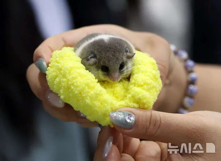 반려동물 먹이그릇 근접 사진
