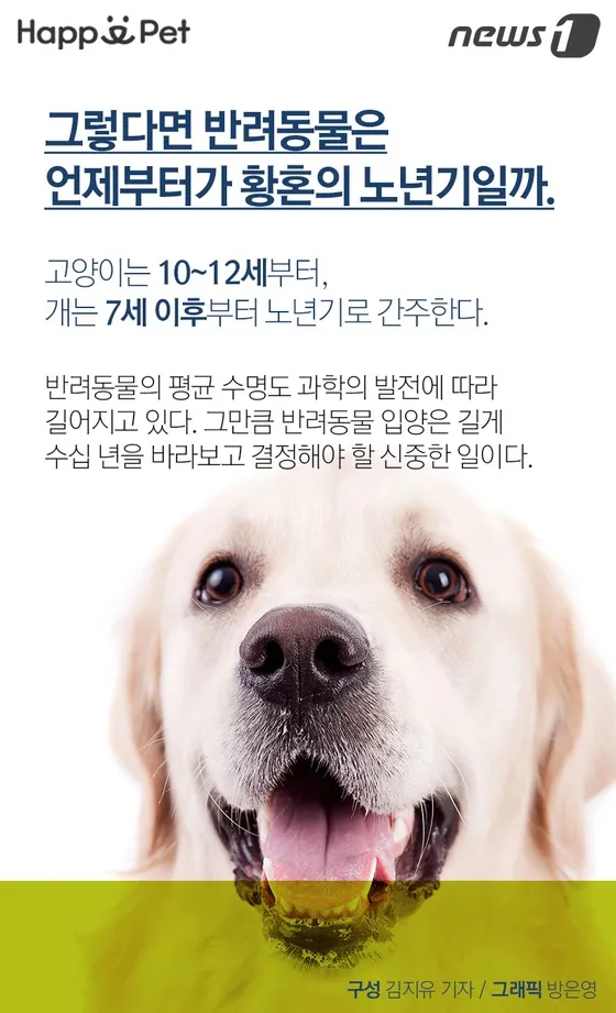 강아지 성장 단계와 나이 변화