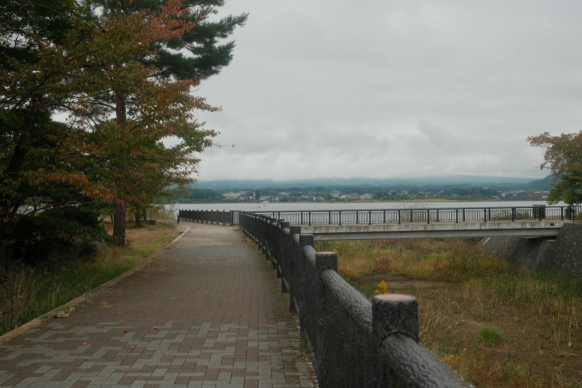 춘천 호수 산책길과 여유로운 풍경