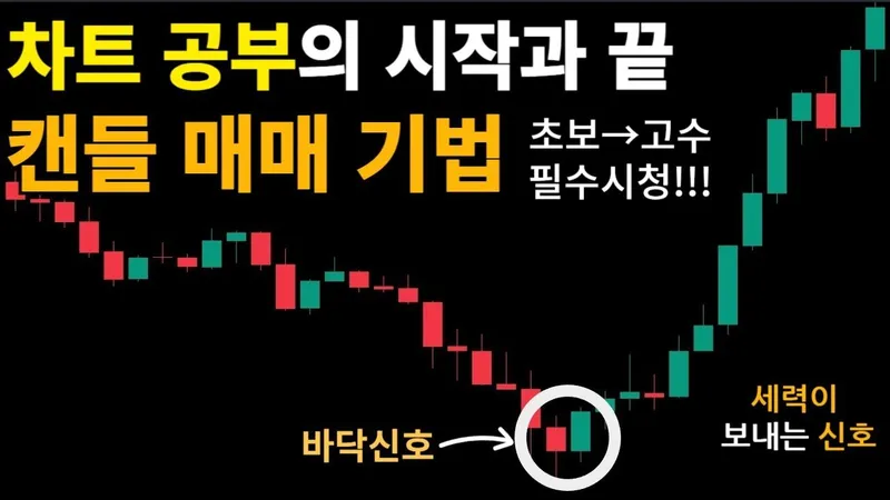반도체 관련주 지금 주목할 종목과 체크포인트 5