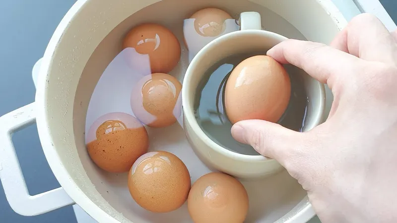 마트 계란 진열대와 비교하는 장면