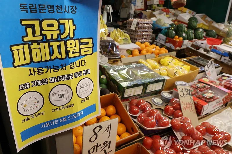 신청 서류를 한꺼번에 정리한 모습