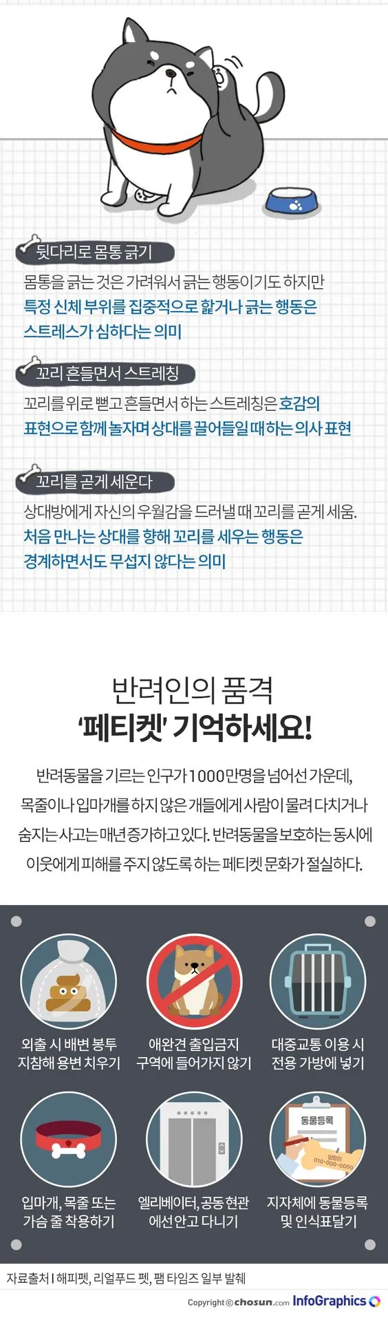 강아지 스케일링 비용 병원별 차이와 체크포인트 5 수의사가 보호자에게 설명하는 장면