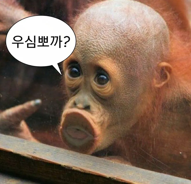 주의 표시가 있는 메모