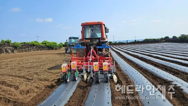 어린 싹에 물 주는 장면
