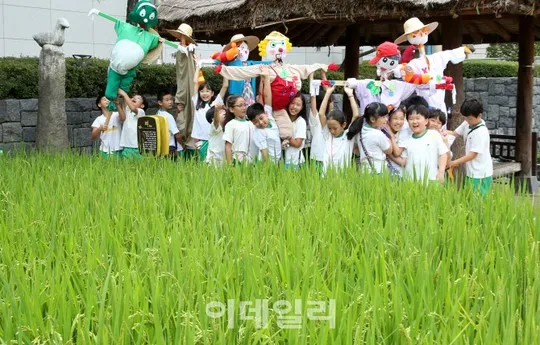 비슷한 표현을 비교하는 책상