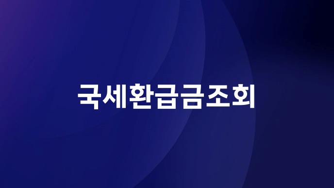 국세환급금조회