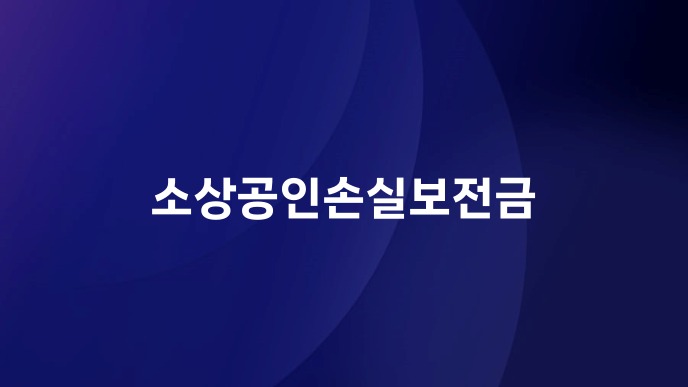 소상공인손실보전금