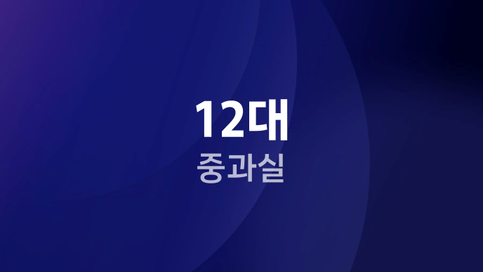 12대 중과실