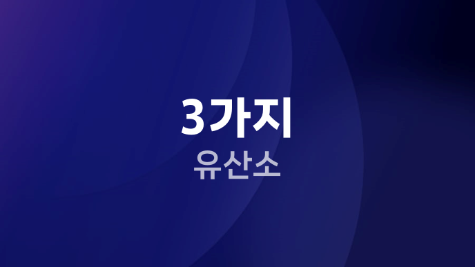 3가지 유산소