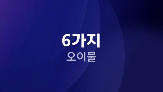 6가지 오이물