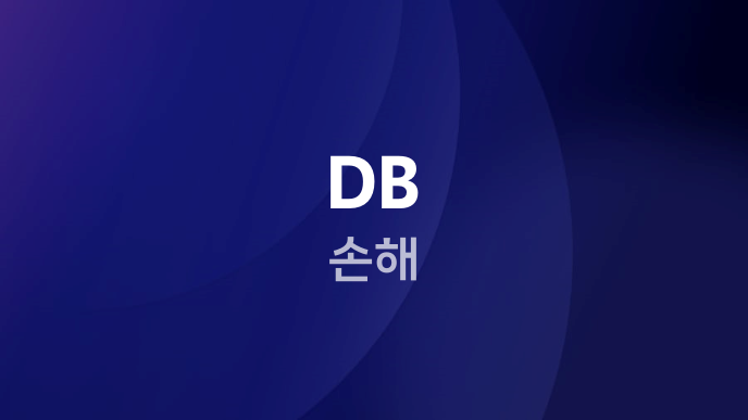 DB 손해