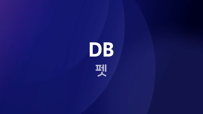 DB 펫