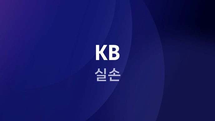 KB 실손
