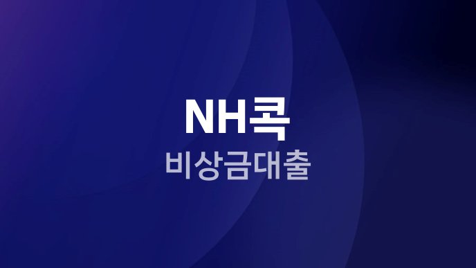 NH콕 비상금대출