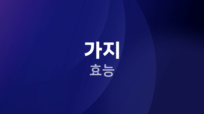 가지 효능