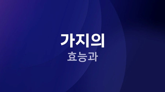 가지의 효능과
