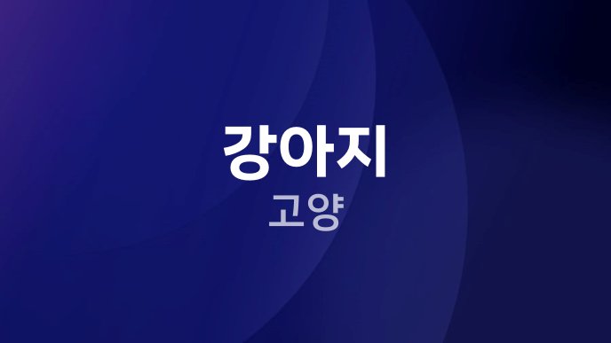 강아지 고양