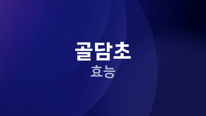 골담초 효능