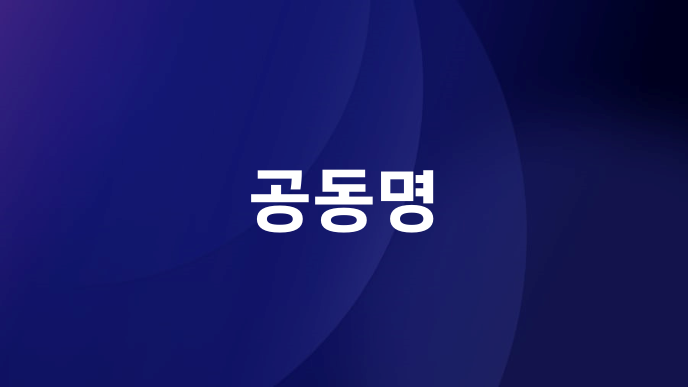 공동명