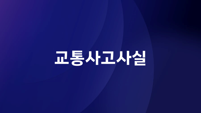 교통사고사실