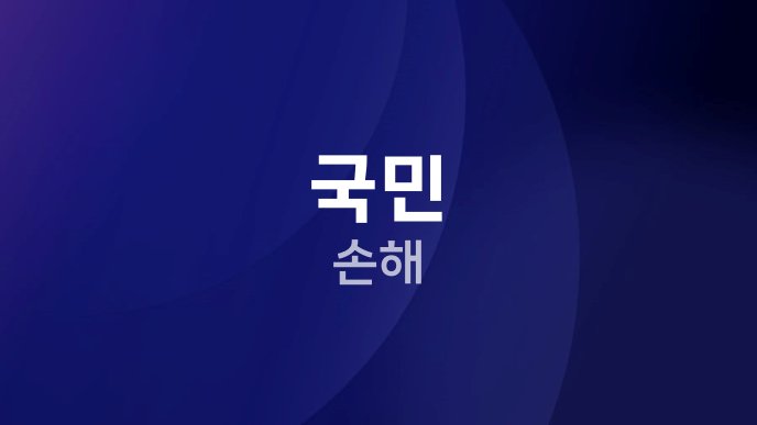 국민 손해