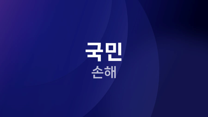 국민 손해