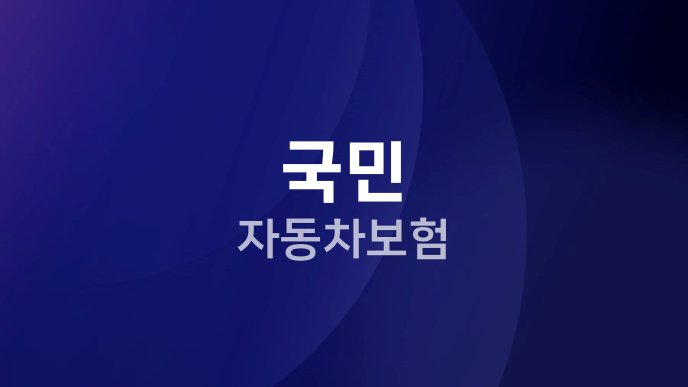국민 자동차보험