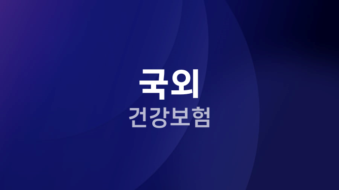 국외 건강보험