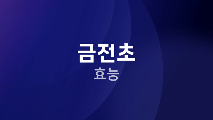 금전초 효능