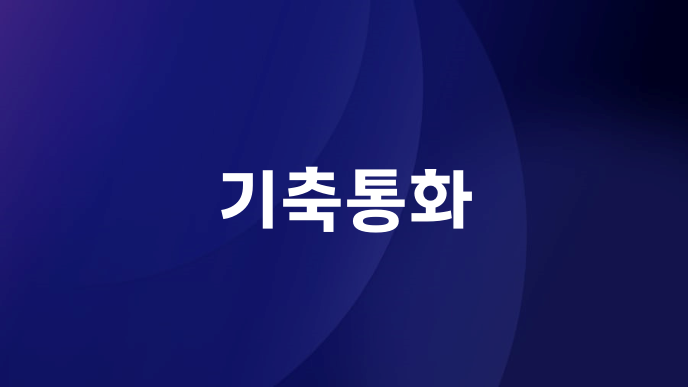 기축통화