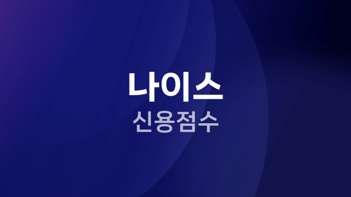 나이스 신용점수
