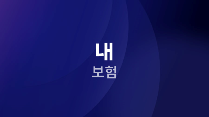 내 보험