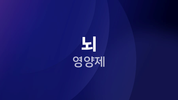뇌 영양제