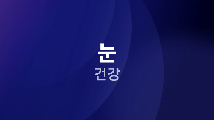 눈 건강