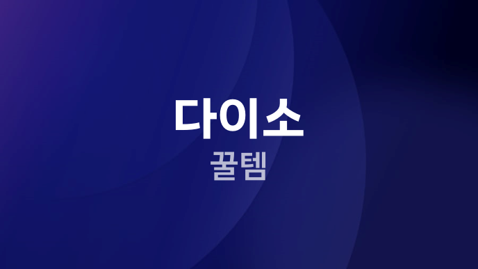 다이소 꿀템