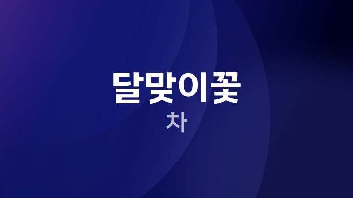 달맞이꽃 차