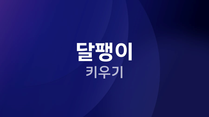 달팽이 키우기