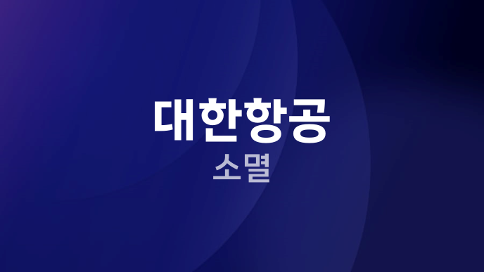 대한항공 소멸