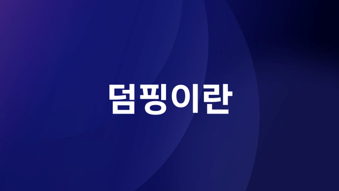 덤핑이란