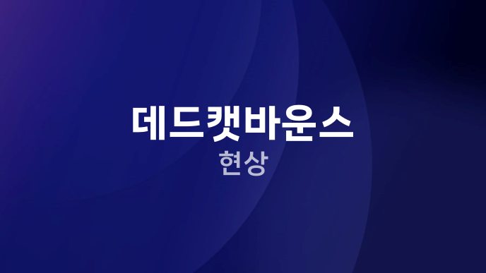 데드캣바운스 현상